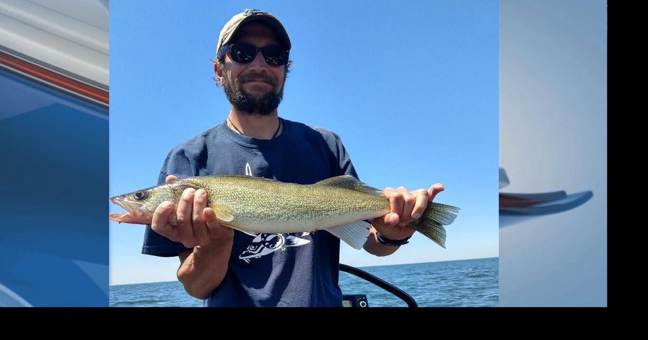 Saginaw bay walleye