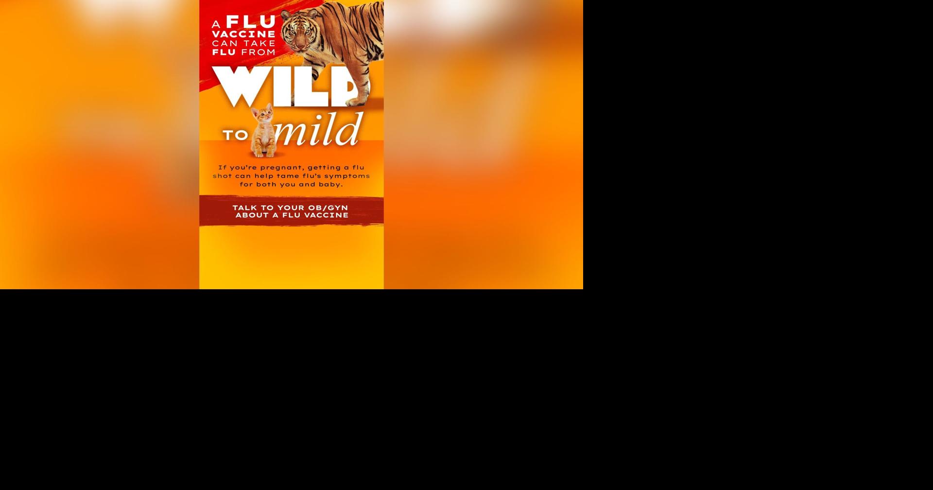 CDC hopes ‘Wild to Mild’ ad campaign will tame skepticism about flu ...