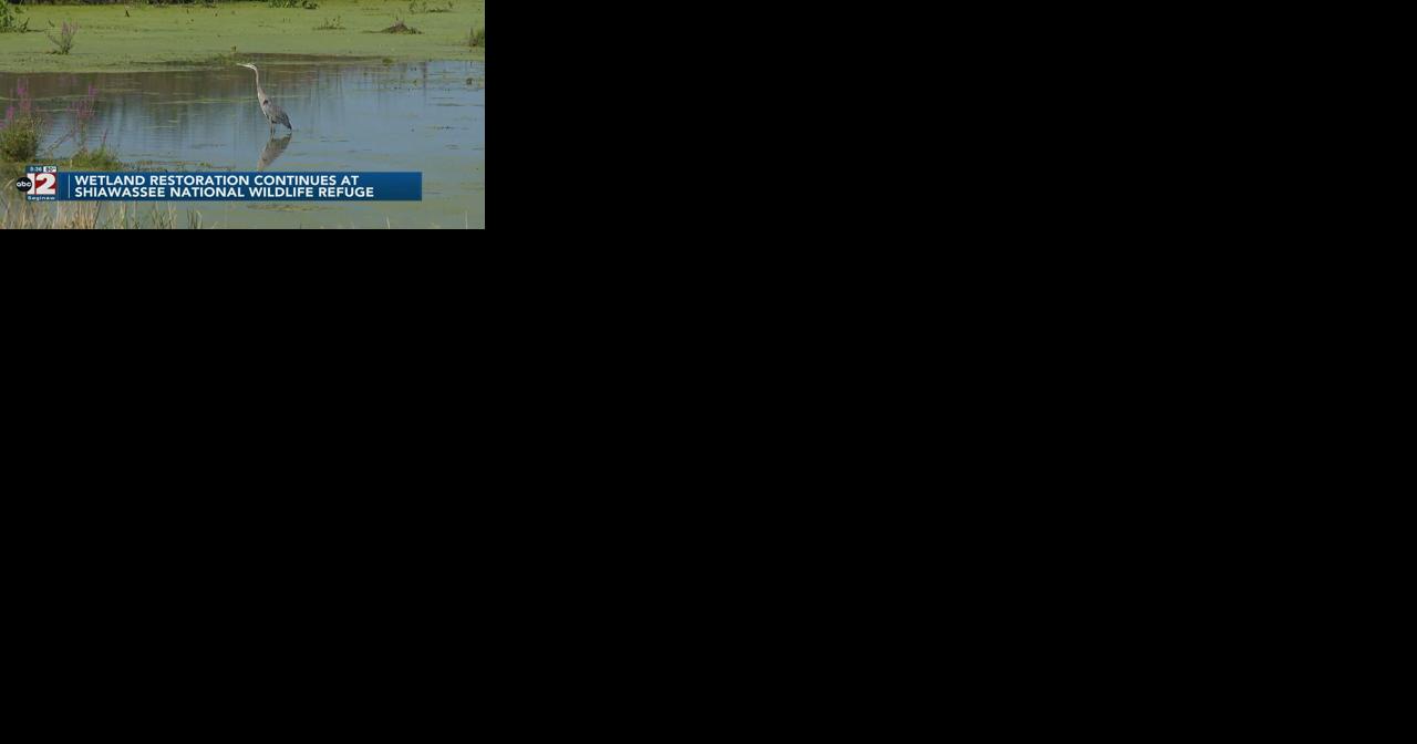 Wetland restoration continues at what some refer to as Saginaw County's 'hidden gem' - Vimarsana News
