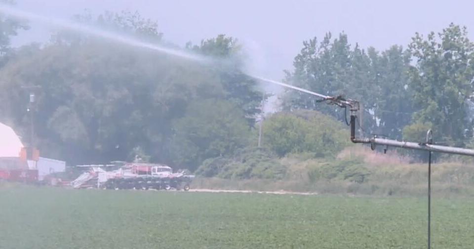 Mid-Michigan farmers facing weeks of drought are hopeful for weekend rainfall - Vimarsana News