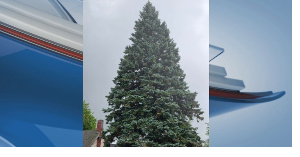 Michigan's 2025 state Christmas tree coming to Lansing this week