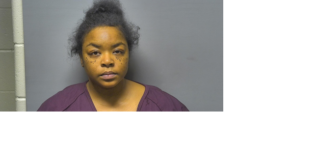 Saginaw woman accused of running over, killing woman in argument - Vimarsana News
