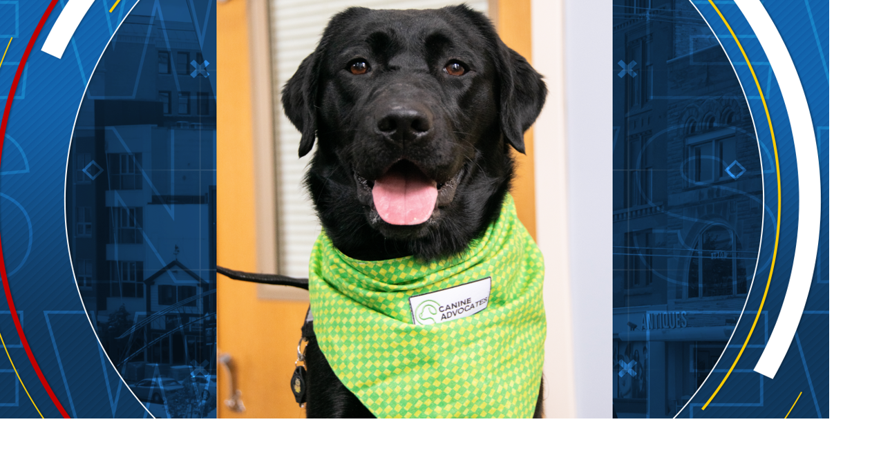 Midland Child Advocacy Center welcomes new facility dog named Basil