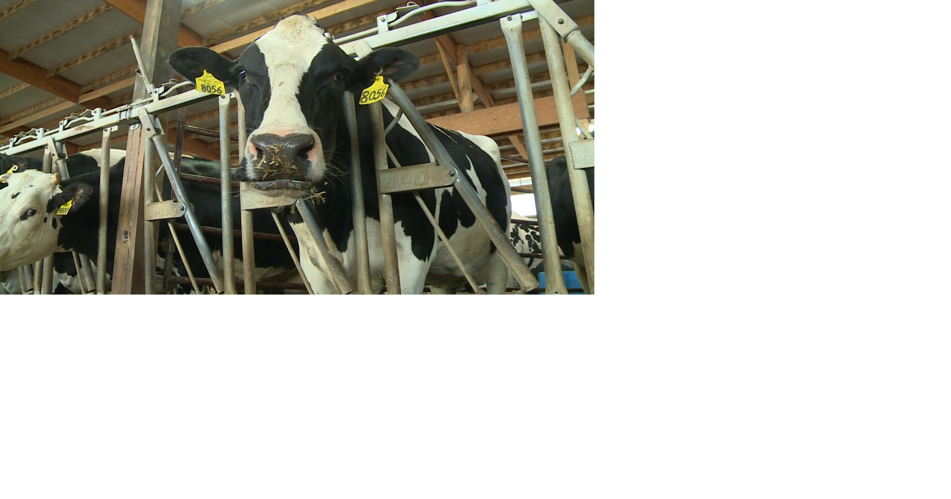 Attorney general accuses Tuscola County farm of illegal waste discharge