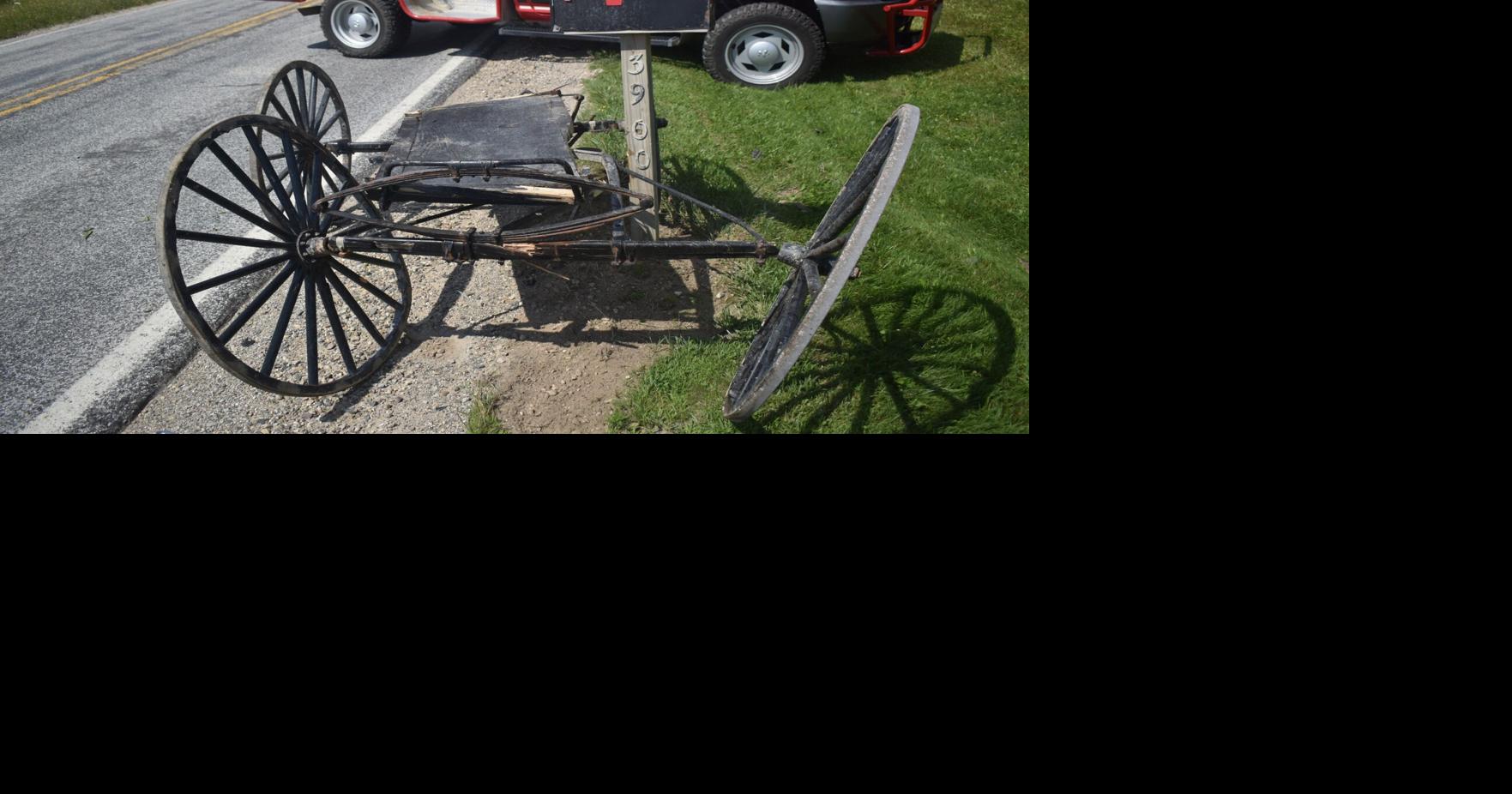 Woman dies following an Amish buggy crash near Gladwin | Local | abc12.com