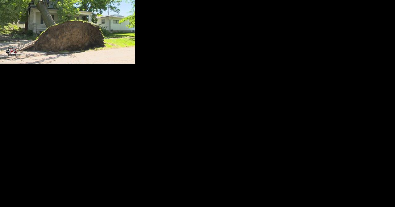 Early morning storm damages homes, topples trees in Bay County - Vimarsana News
