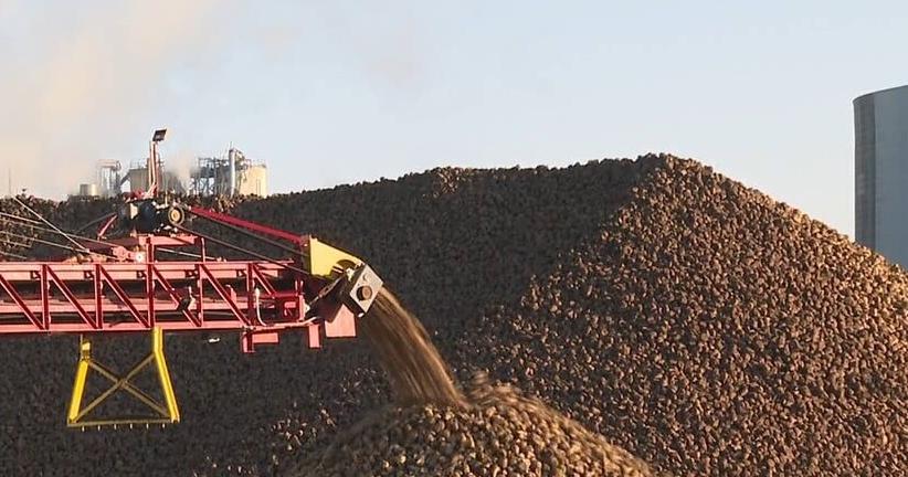 Financial assistance on the way for Michigan sugar beet farmers