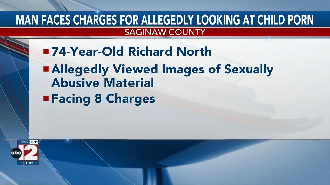 Saginaw man faces 8 charges for allegedly looking at child porn