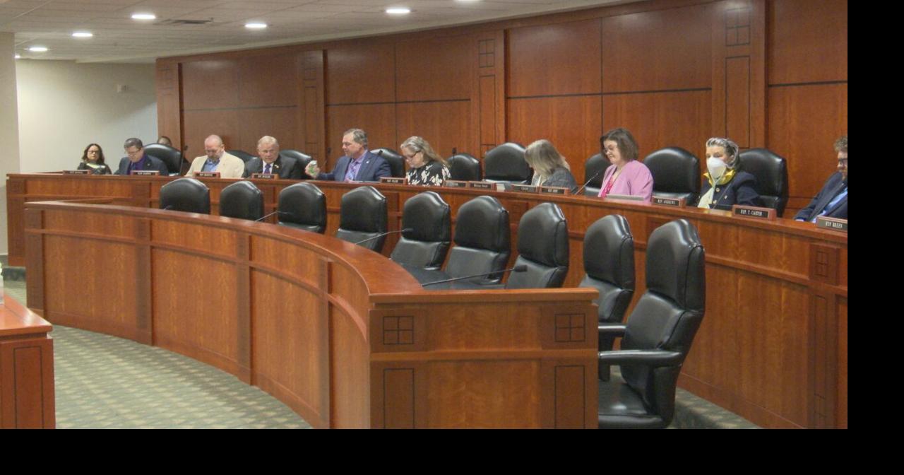 House Criminal Justice Committee holds hearing on Messiah's Law ...