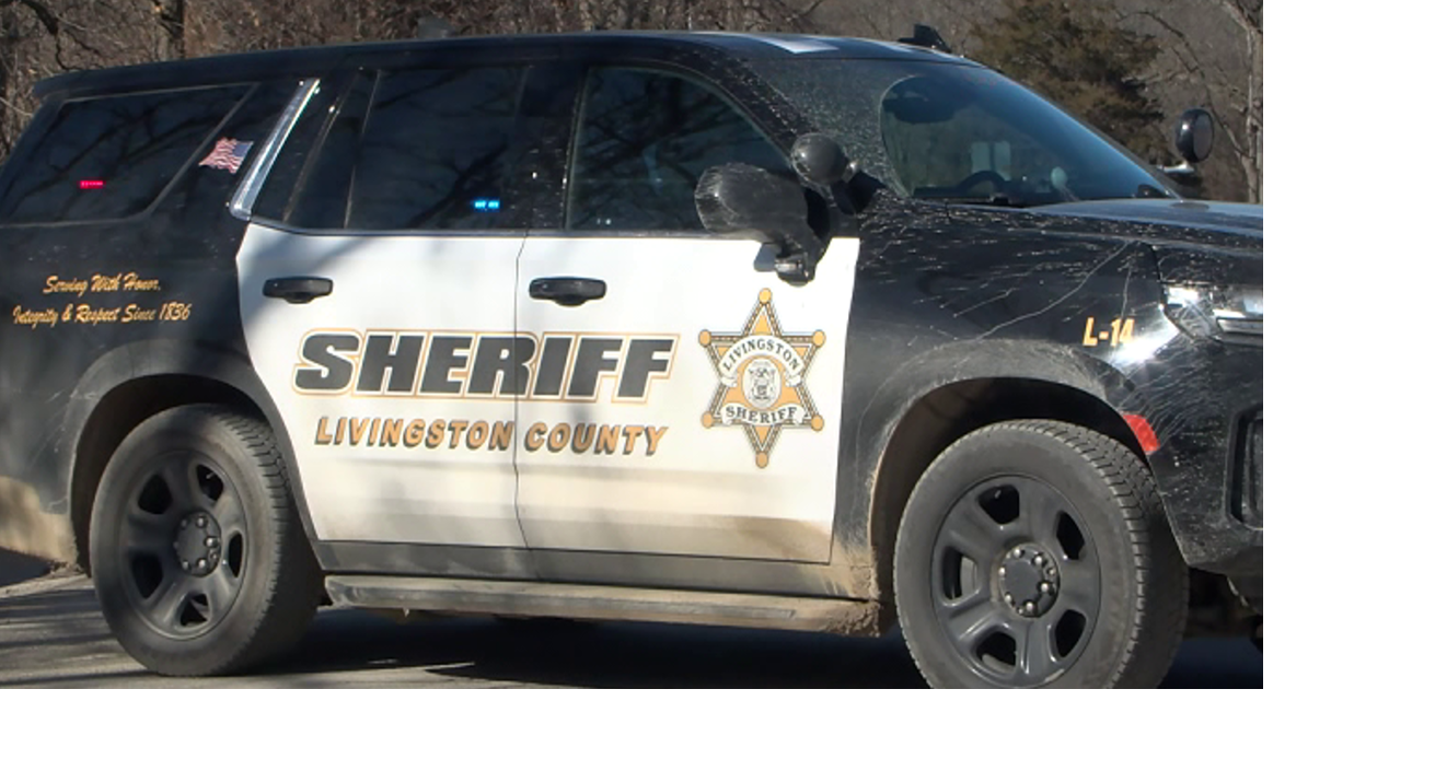 Flint man sent to trial in Livingston County armed robbery case | Crime ...