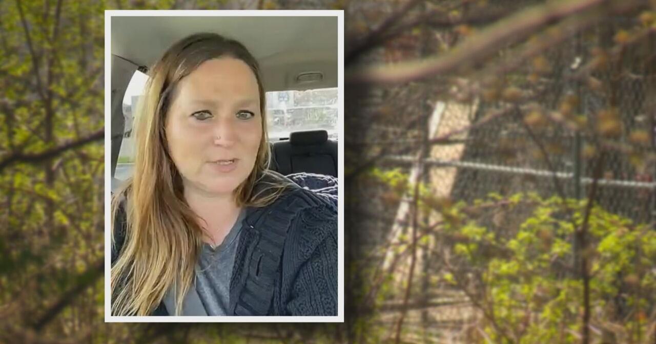 The Devoted Barn Owner facing felony charge, arrest warrant in Genesee Co. - Vimarsana News