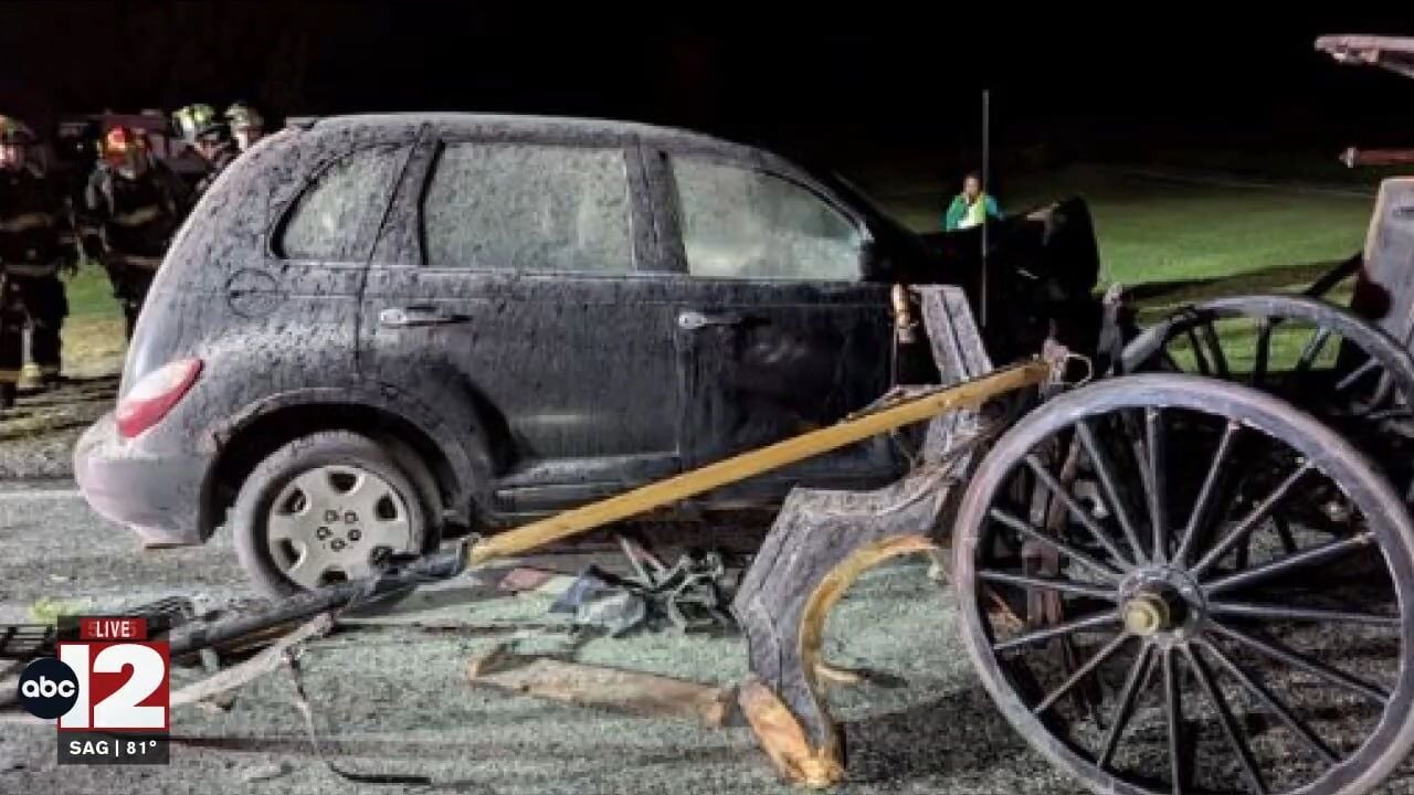 Distracted driver hits a horse-drawn carriage in Frankenmuth