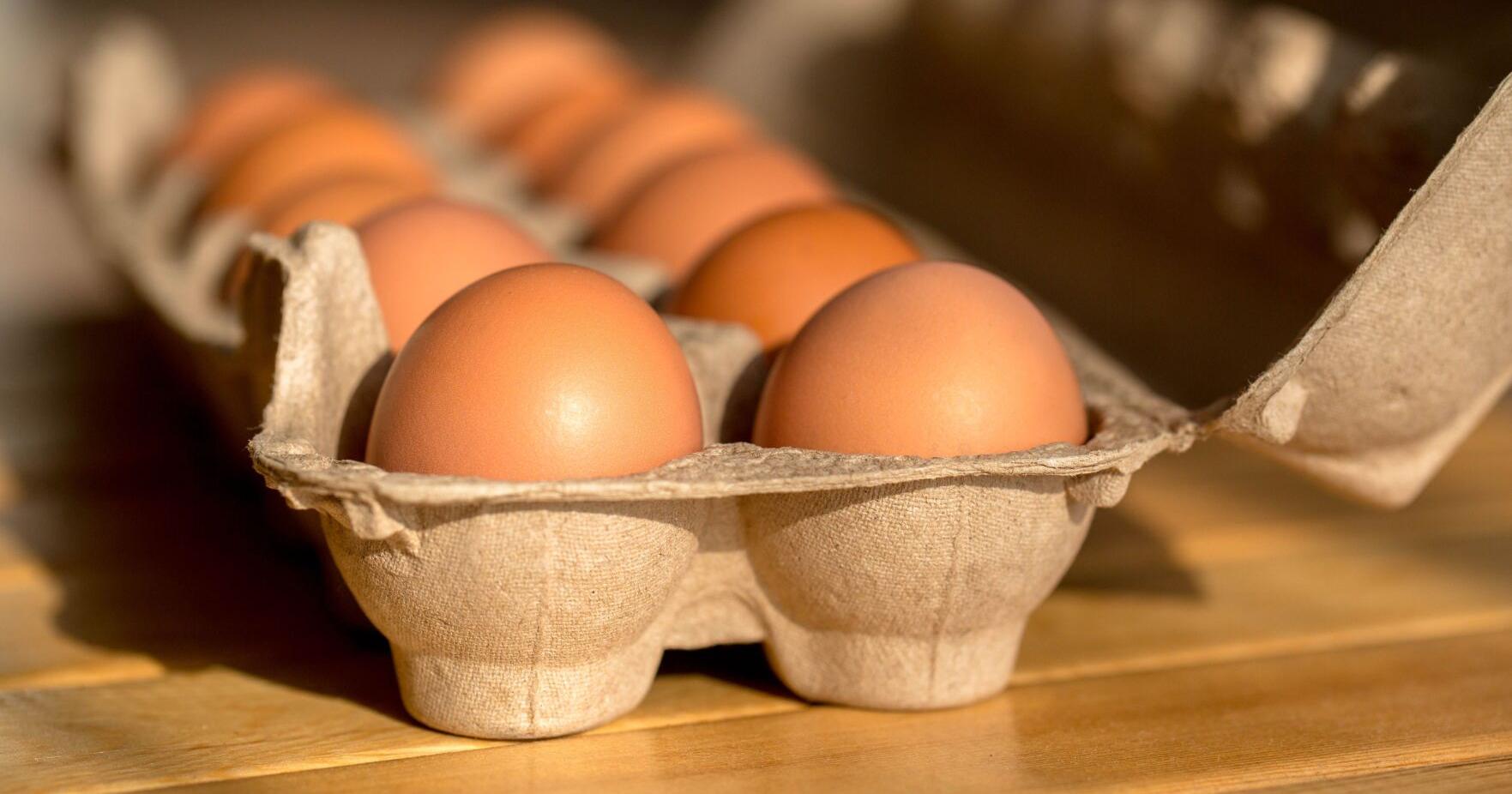 Egg prices are rising and bird flu could make it worse - Vimarsana News