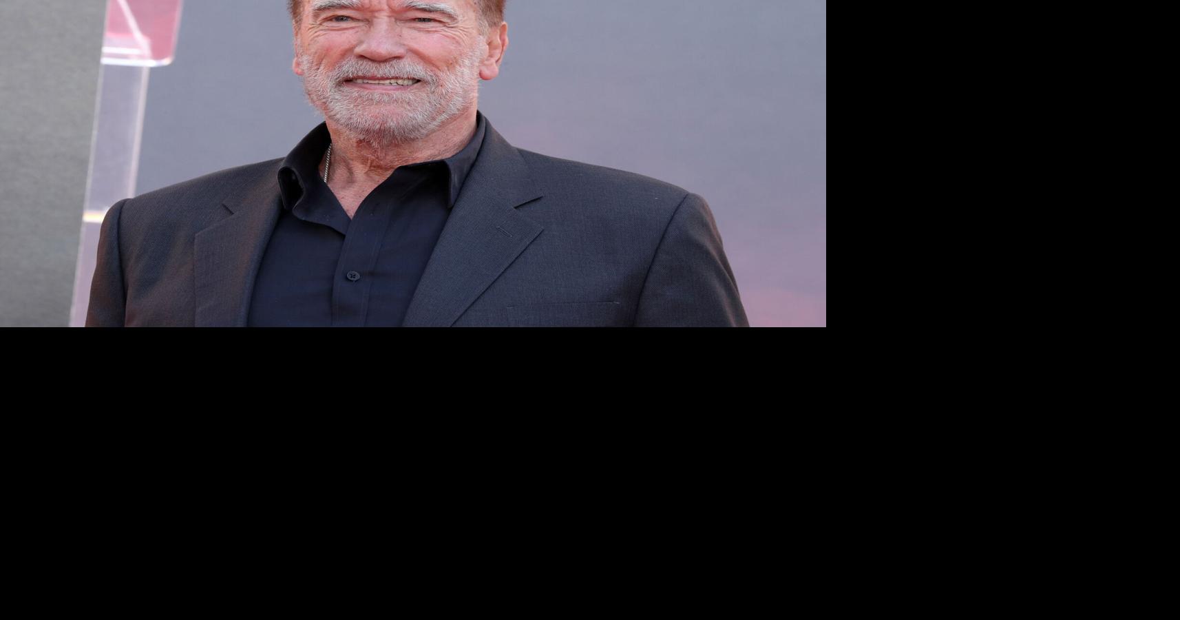 Arnold Schwarzenegger terminates neighborhood pothole National