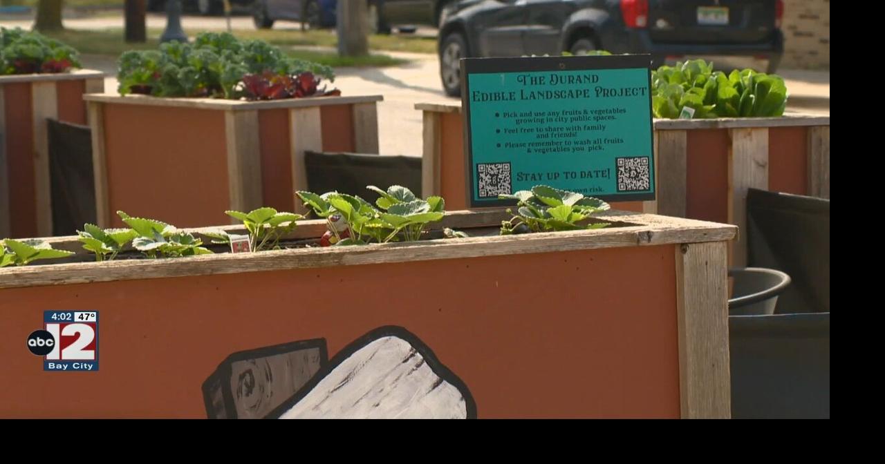 Shiawassee County voters have two items on the ballot Video