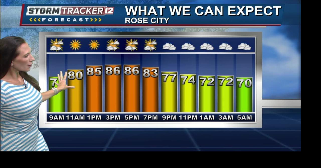 It's another hot and humid day | Forecast | abc12.com