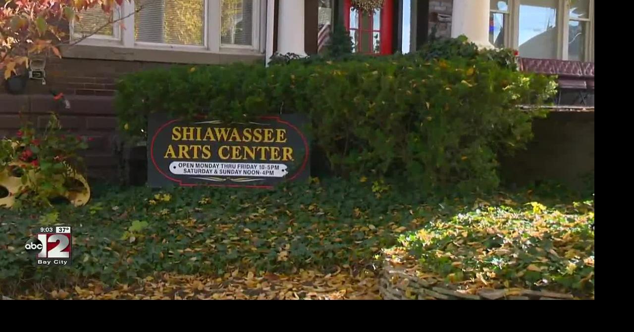 12 In Your Town Shiawassee Arts Center celebrates local artists