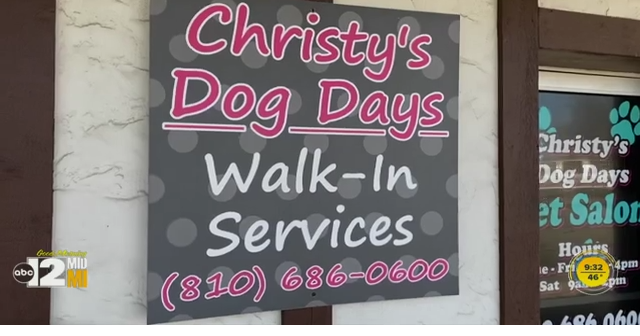 Dog best sale days salon