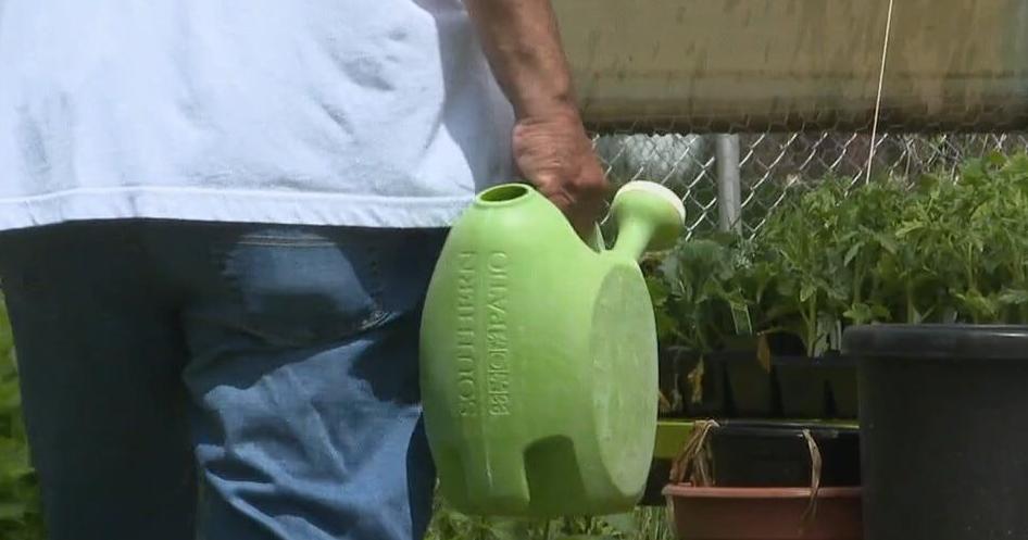 $50,000 in grants available for young Flint residents to help make city green - Vimarsana News