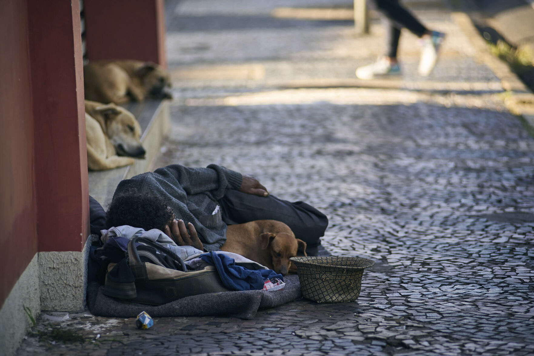 America's homeless ranks graying as more retire on streets | News