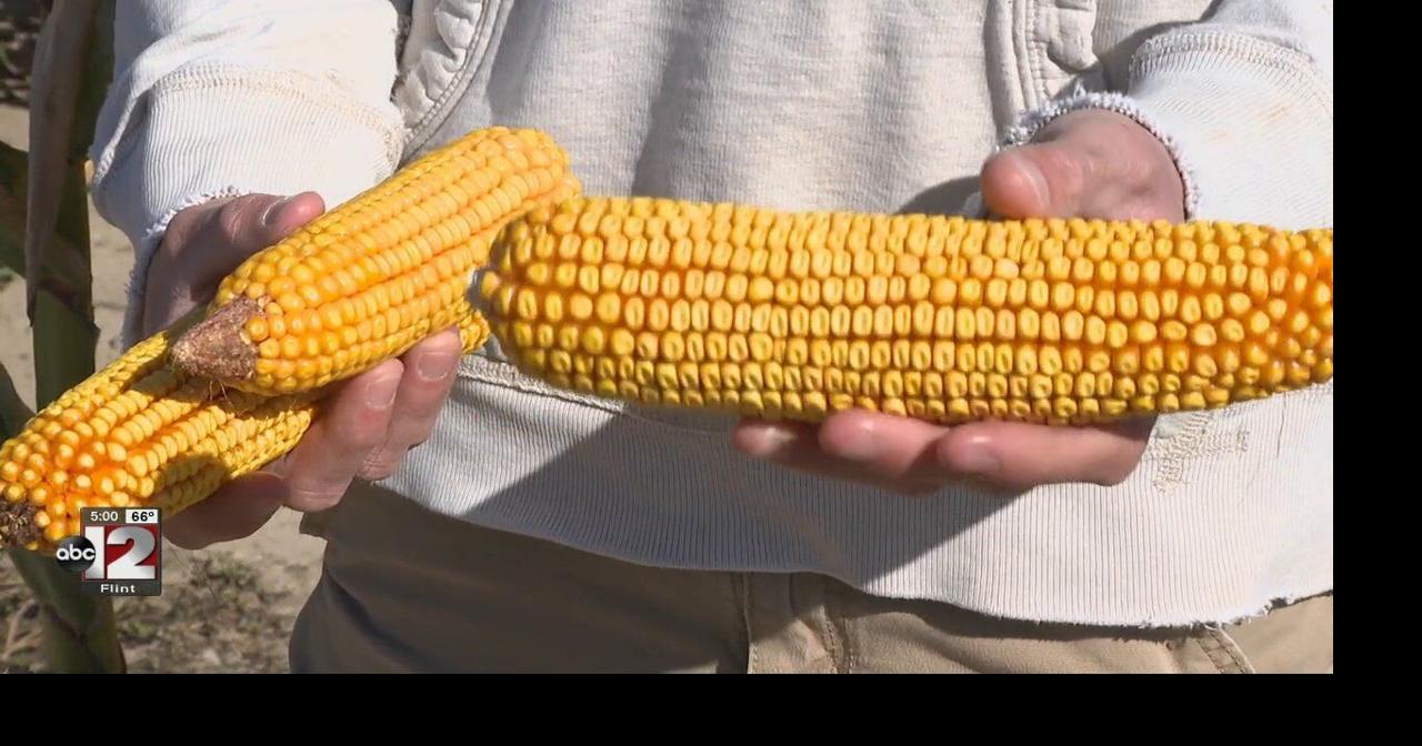 Weather, war, and economy making a tough year for area farmers | News ...