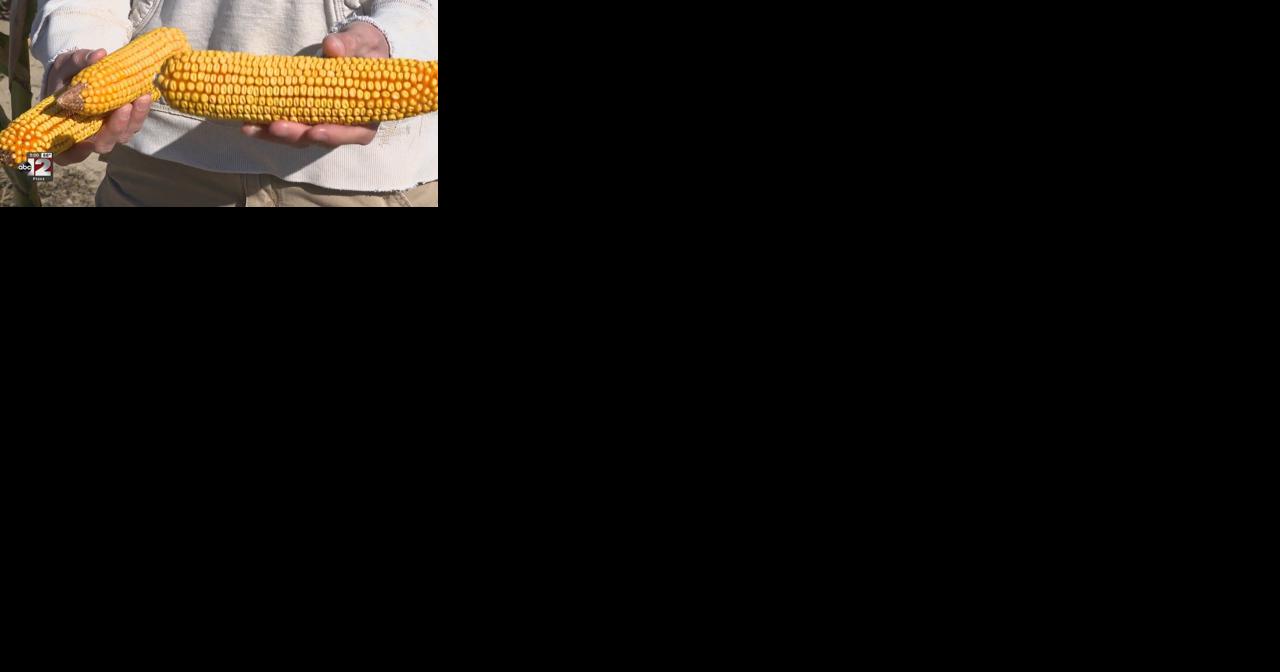 Weather, war, and economy making a tough year for area farmers - Vimarsana News