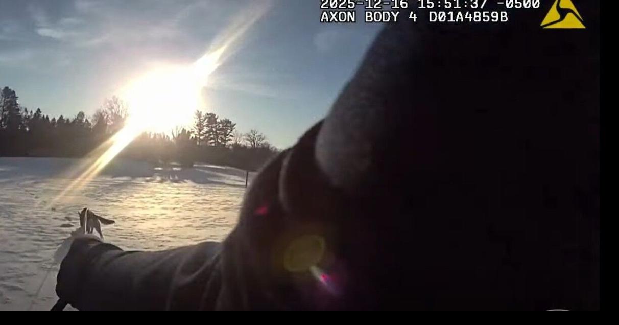 17-month-old K-9 helps locate missing Michigan teen