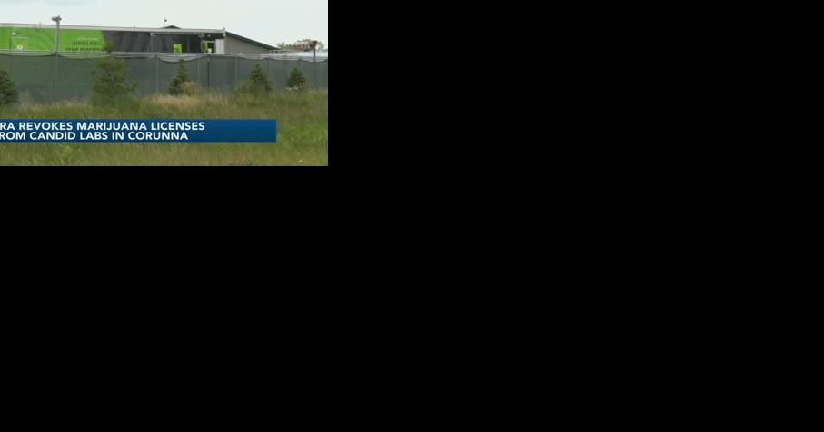 State regulators revoke licenses from Corunna marijuana grower and processor - Vimarsana News
