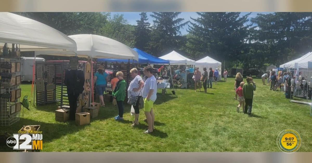 Flushing Women's Club hosting 57th annual Art in the Park | Good ...