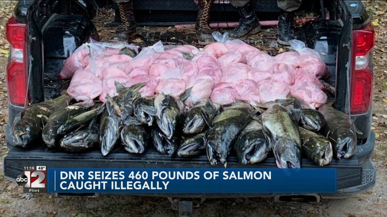 Michigan Weekly DNR Salmon Fishing Report