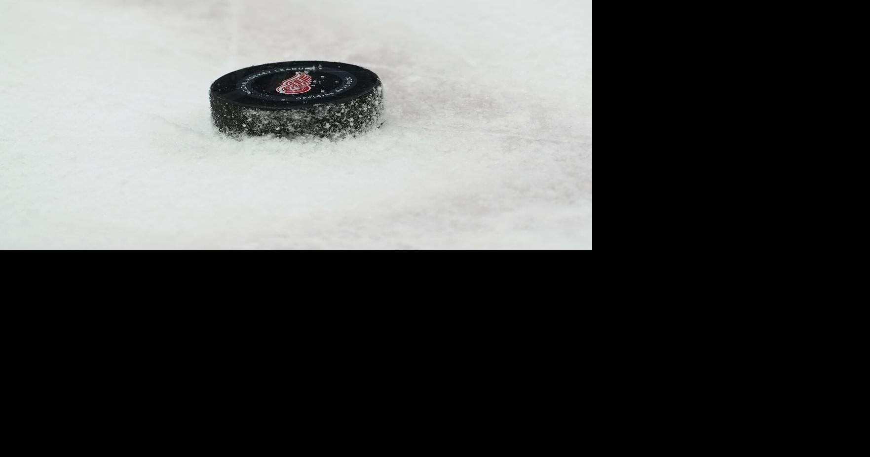 Detroit Red Wings release its 2026-27 schedule | Sports | abc12.com