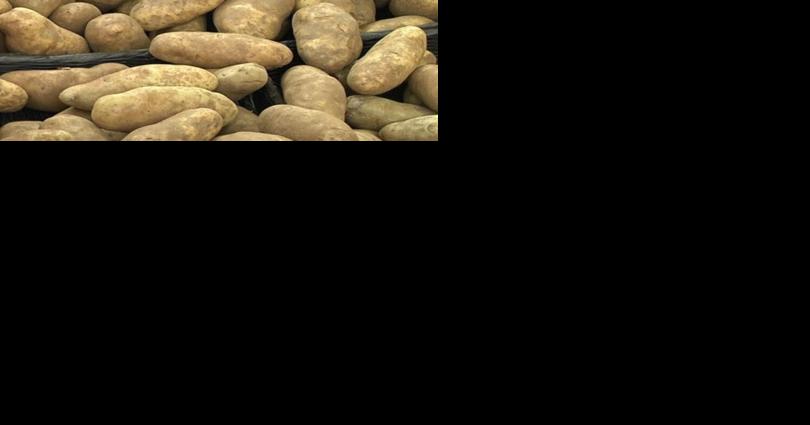 Flint mobile food pantry dates and locations announced for November 2023 - Vimarsana News