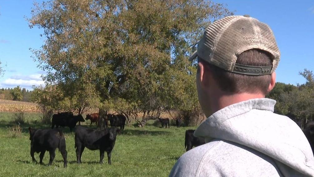 US Beef Tariff Cuts Create $2.3B Import Arbitrage Window | Sellers Face Supply Chain Disruption