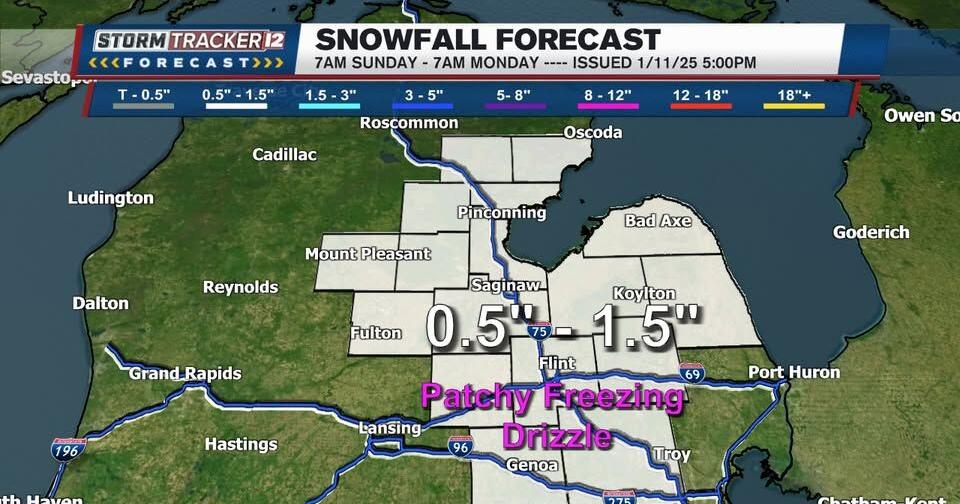 MidMichigan schools delay and cancel Monday classes after snowfall