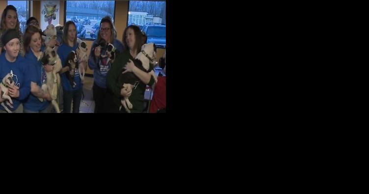 Animal lovers gather to 'Drink Beer, Save Puppies' - Vimarsana News