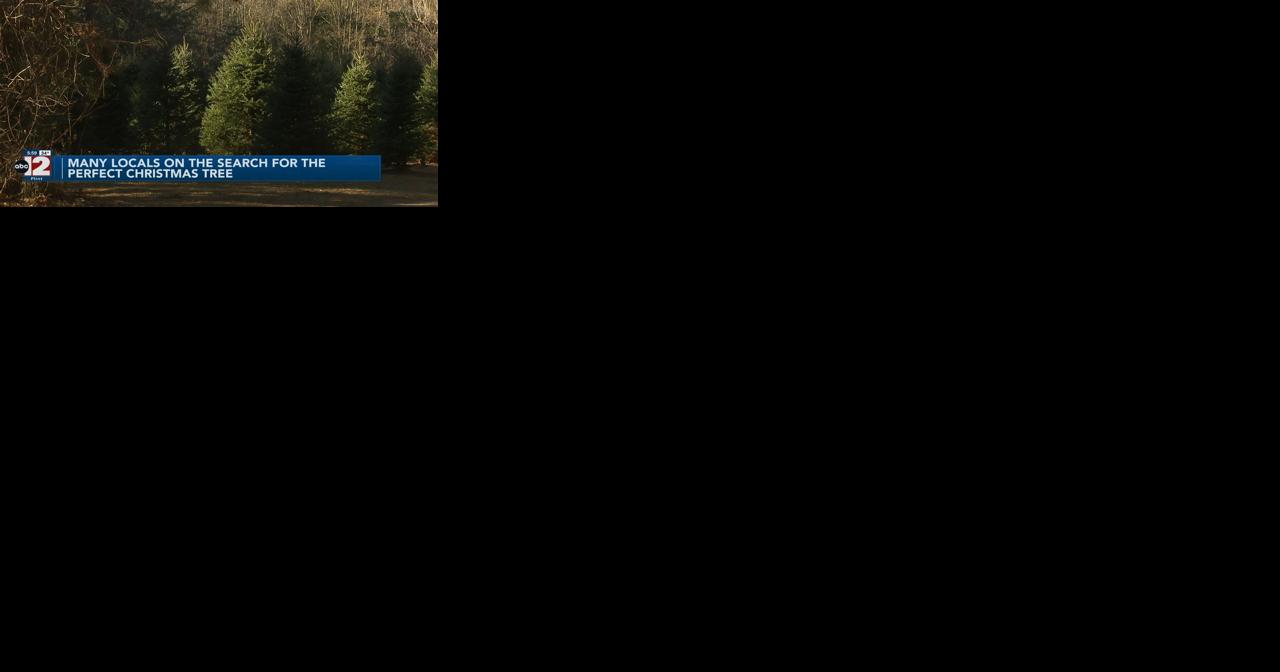 One of the busiest weekends for local Christmas tree farms - Vimarsana News