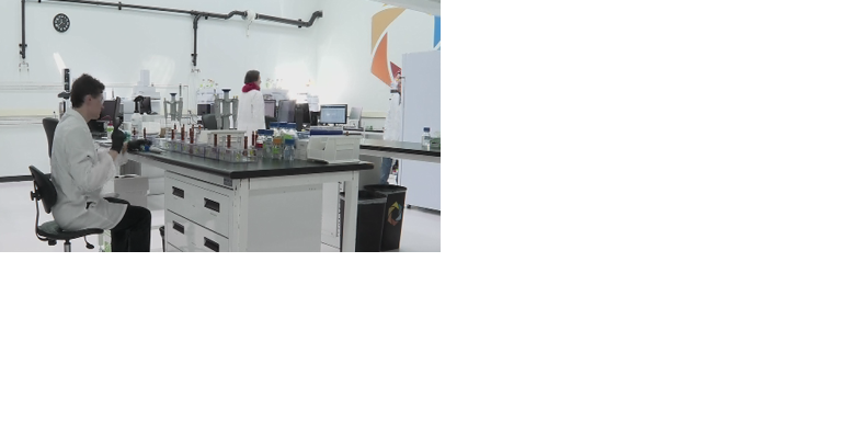 Bay City testing facility ensures cannabis safety - Vimarsana News