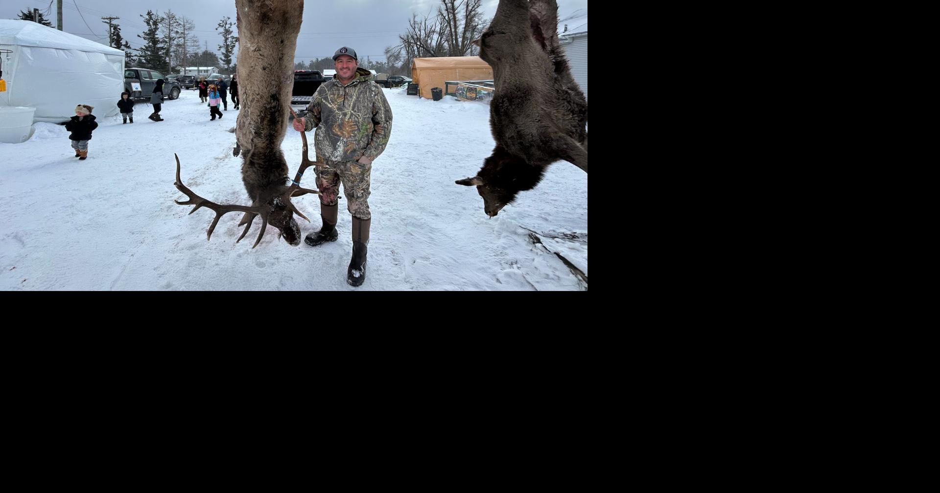 Michigan accepting elk hunting license applications starting Friday