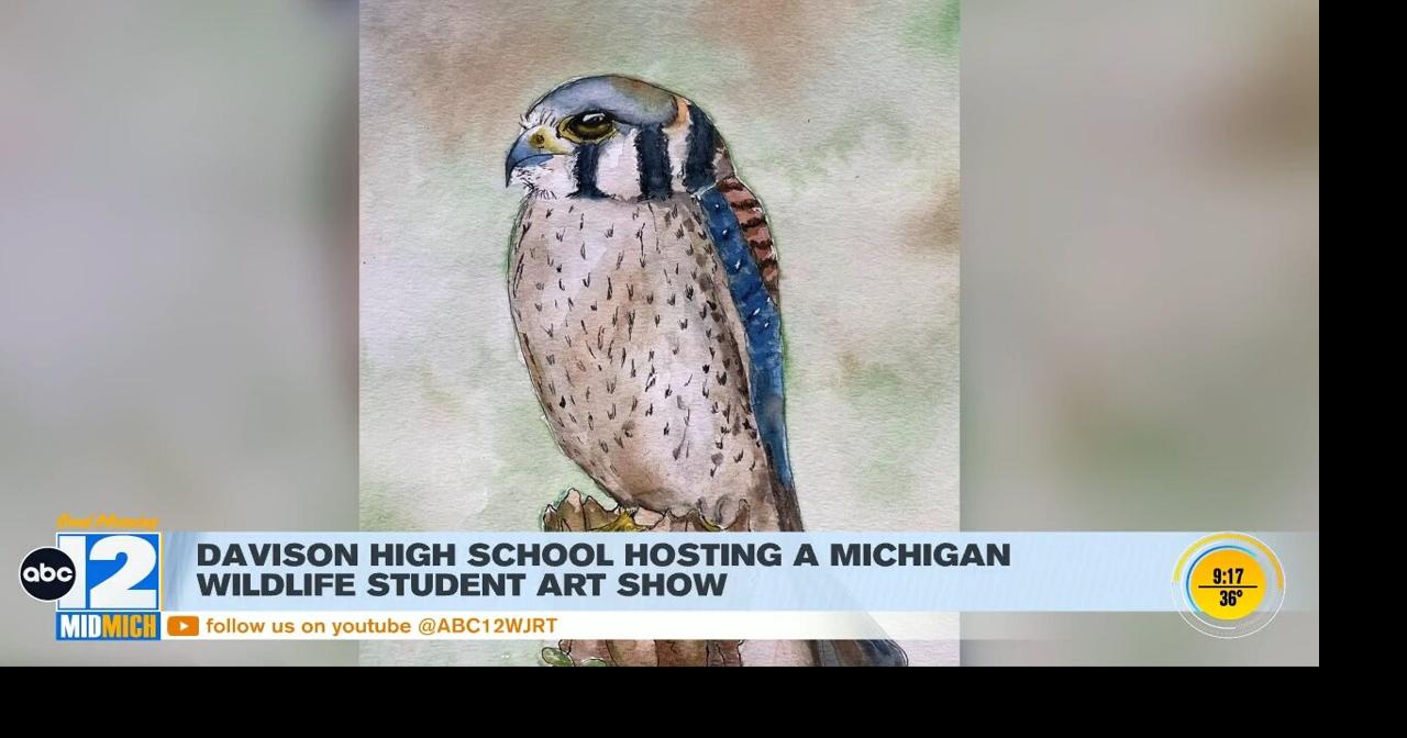 Davison High Michigan wildlife student art show