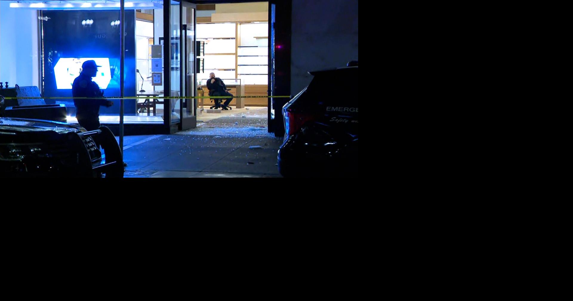 Oak Brook Police release photos of Louis Vuitton heist
