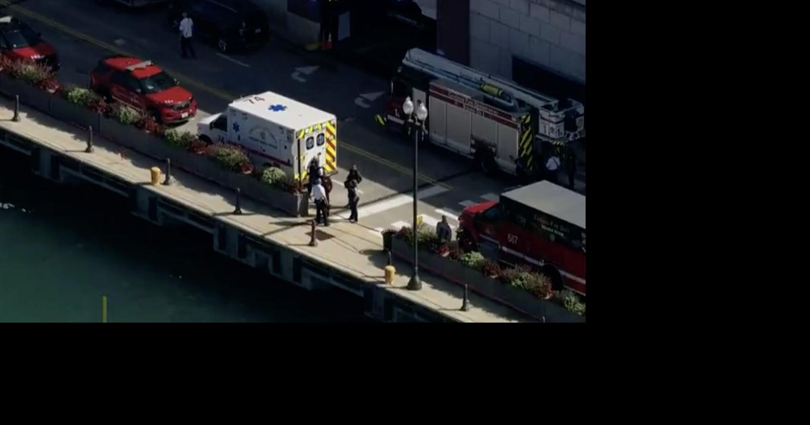 Aunt accused of pushing toddler into Lake Michigan now faces murder ...