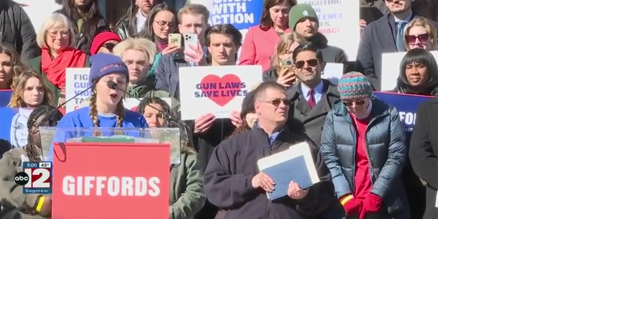 Hundreds of Michiganders against gun violence demand action after tragedy - Vimarsana News
