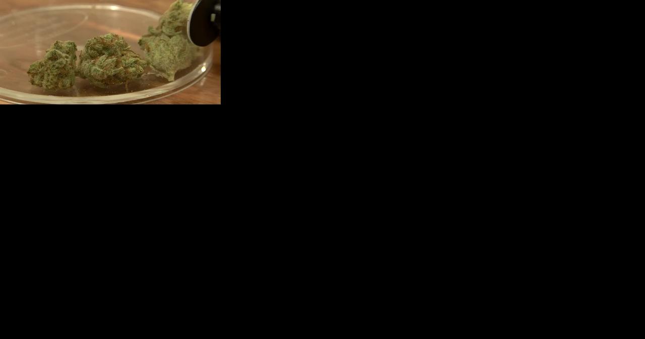 Former head of Michigan marijuana panel pleads guilty to bribery - Vimarsana News