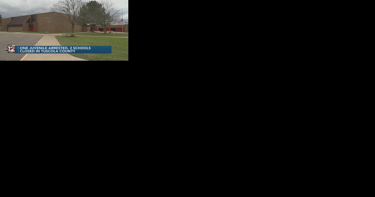 Juvenile in custody, 2 schools closed as Tuscola County schools continue to deal with potential threats - Vimarsana News