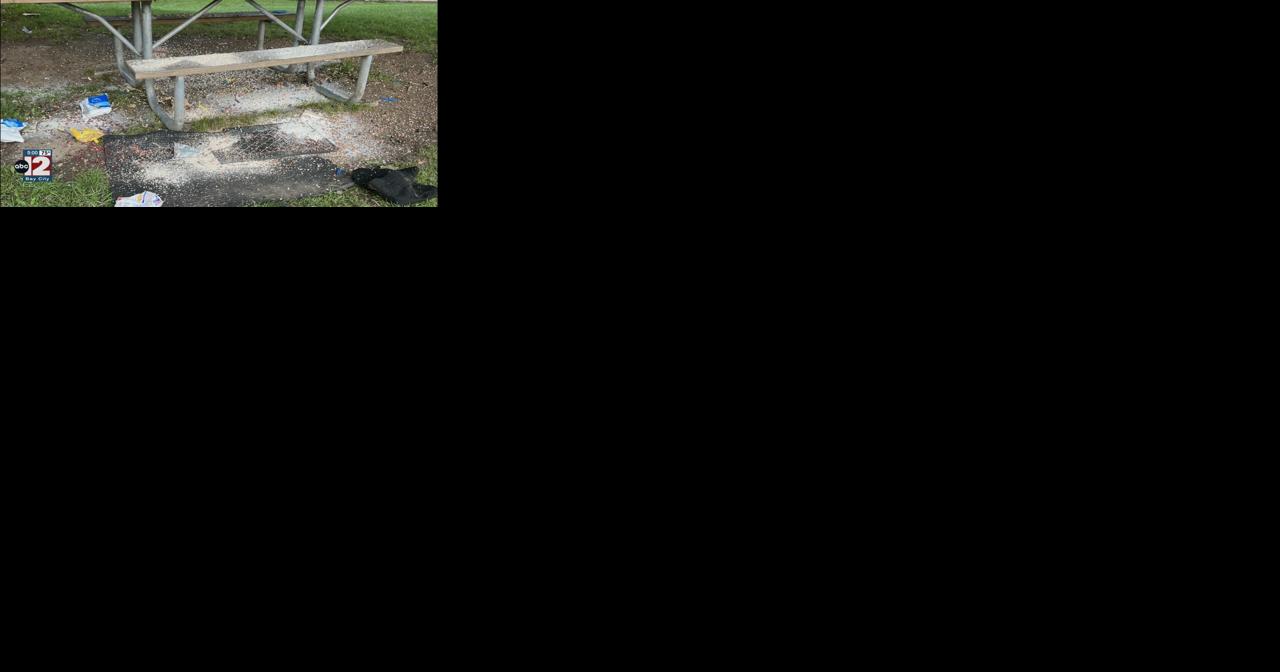 Community speaks up after suspected teens vandalize Flint's Mott Park - Vimarsana News