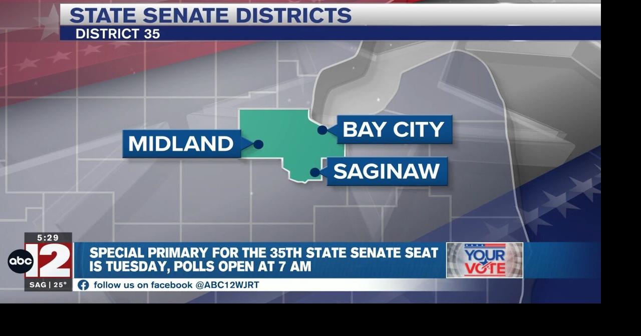 County clerks ready for 35th State Senate primary | Video | abc12.com