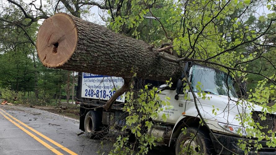 Tree Cutting Service Mckinney