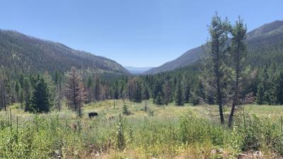 Lodgepole Creek Trailhead landslides left zero injuries ABC Fox