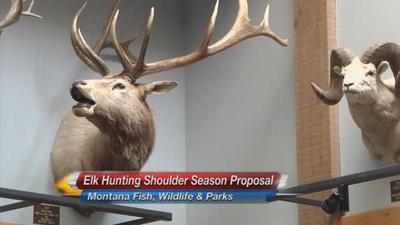 400px x 225px - Proposed changes to elk hunting season | Student of the Week ...