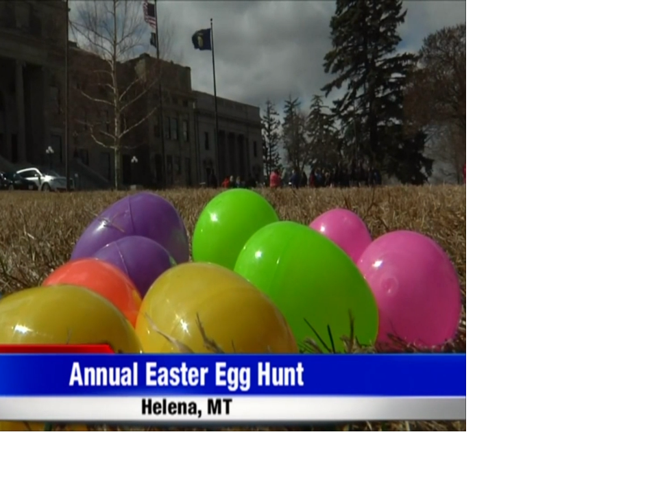 Annual Easter egg hunt at the Capitol ABC Fox Montana Helena